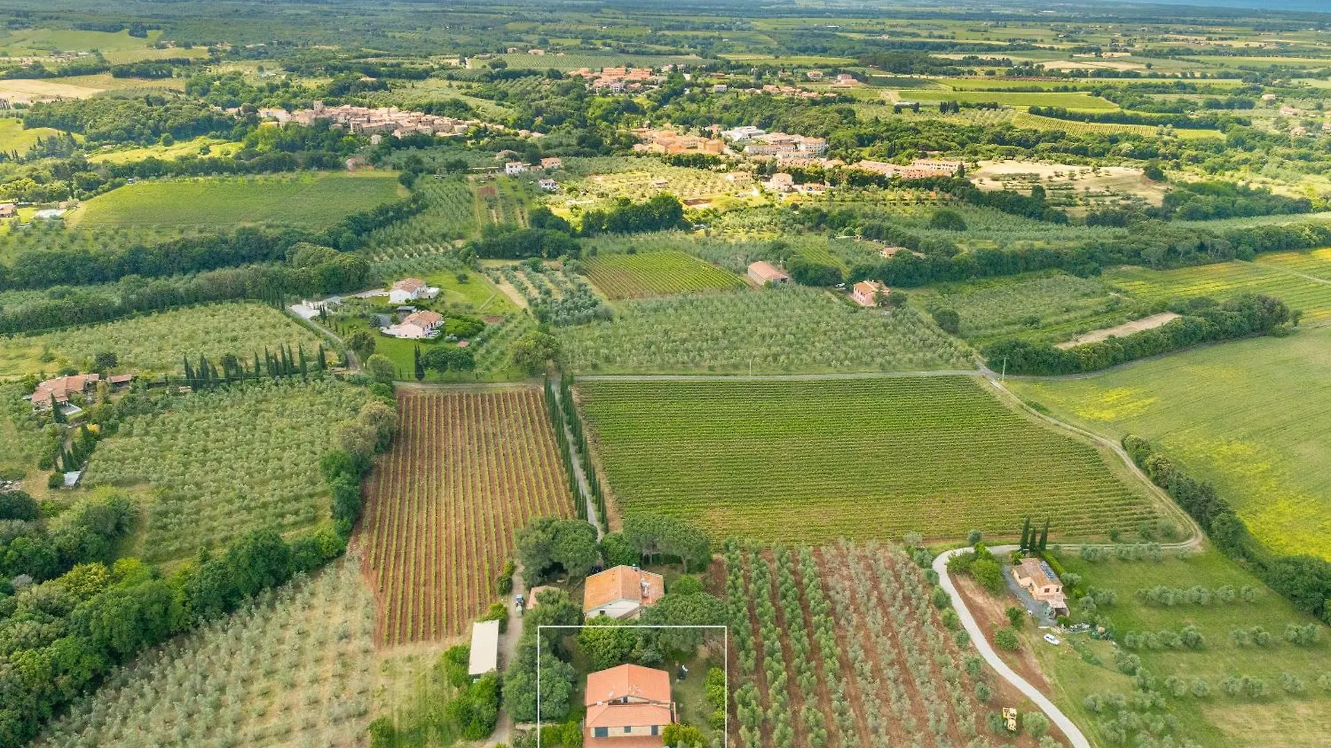 Feriegård La Sassetta Villa Bibbona