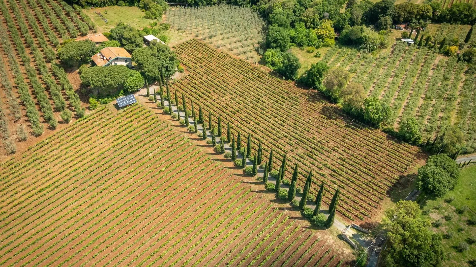 La Sassetta Villa Bibbona 0*,  Italien