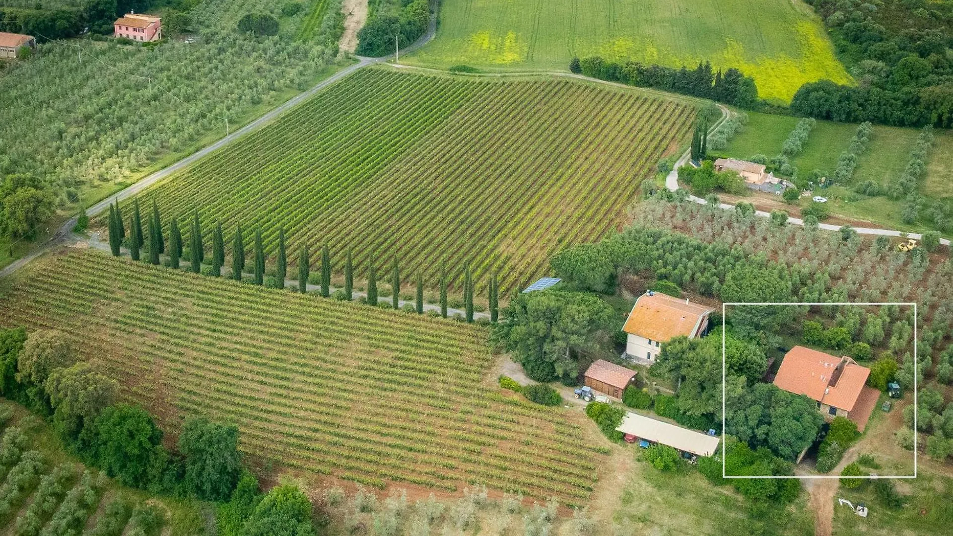 La Sassetta Villa Bibbona